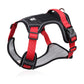 🦮✨Szelki dla psa zapobiegające ciągnięciu, z smyczą i obrożą